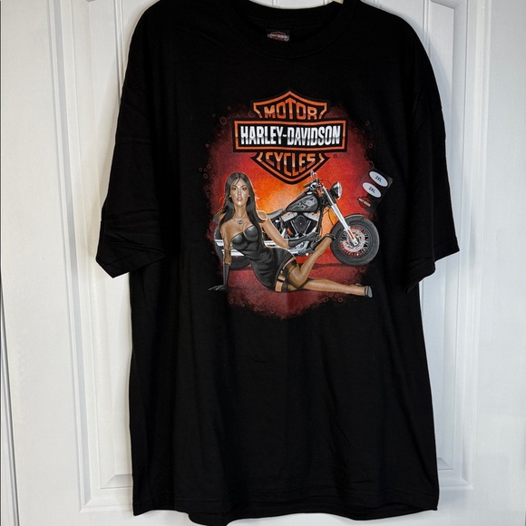 Harley-Davidson Vehicle City,Flint, Michigan Sz 2X - Picture 2 of 10